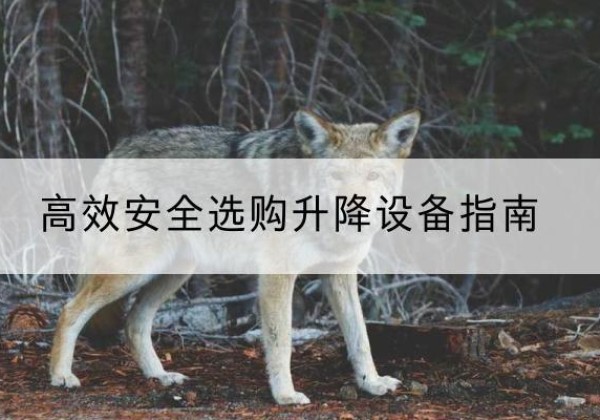 旅顺口升降货梯厂家推荐-*安全选购升降设备指南