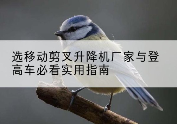 旅顺口电动升降机厂家-选移动剪叉升降机厂家与登高车必看实用指南