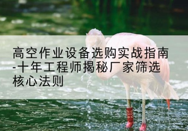 旅顺口剪叉式升降机厂家-高空作业设备选购实战指南-十年工程师揭秘厂家筛选核心法则